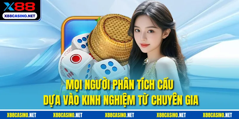 Mọi người phân tích cầu dựa vào kinh nghiệm từ chuyên gia